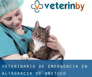 Veterinario de emergencia en Altagracia de Orituco