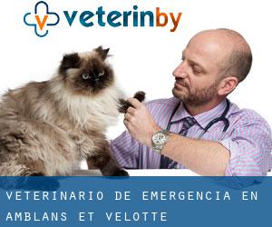 Veterinario de emergencia en Amblans-et-Velotte