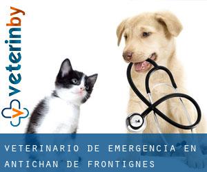 Veterinario de emergencia en Antichan-de-Frontignes