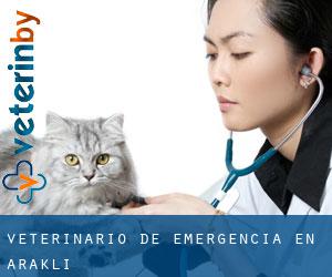 Veterinario de emergencia en Araklı
