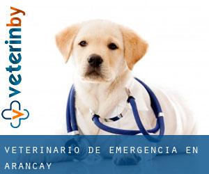 Veterinario de emergencia en Arancay