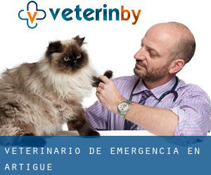 Veterinario de emergencia en Artigue