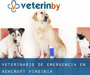 Veterinario de emergencia en Ashcroft (Virginia)