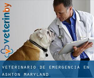 Veterinario de emergencia en Ashton (Maryland)