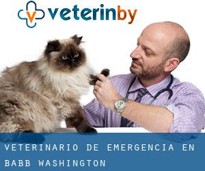 Veterinario de emergencia en Babb (Washington)