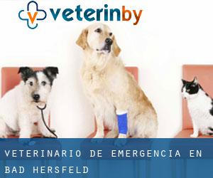 Veterinario de emergencia en Bad Hersfeld
