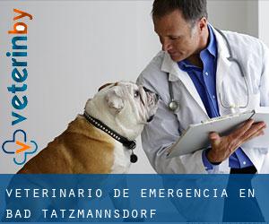 Veterinario de emergencia en Bad Tatzmannsdorf