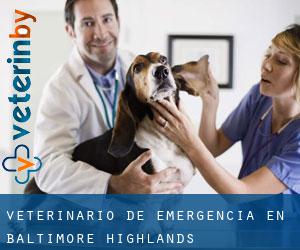 Veterinario de emergencia en Baltimore Highlands