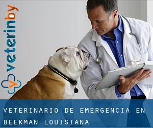 Veterinario de emergencia en Beekman (Louisiana)