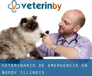 Veterinario de emergencia en Boody (Illinois)