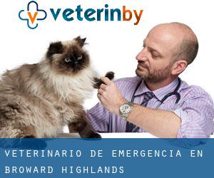 Veterinario de emergencia en Broward Highlands