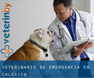 Veterinario de emergencia en Calexico