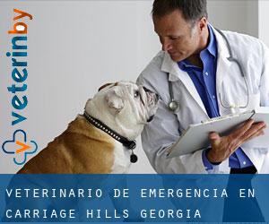 Veterinario de emergencia en Carriage Hills (Georgia)