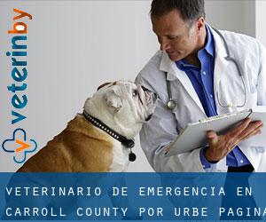 Veterinario de emergencia en Carroll County por urbe - página 1