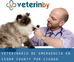 Veterinario de emergencia en Cedar County por ciudad principal - página 1