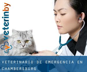 Veterinario de emergencia en Chambersburg