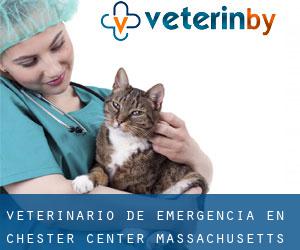 Veterinario de emergencia en Chester Center (Massachusetts)