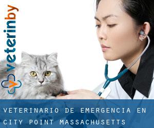 Veterinario de emergencia en City Point (Massachusetts)