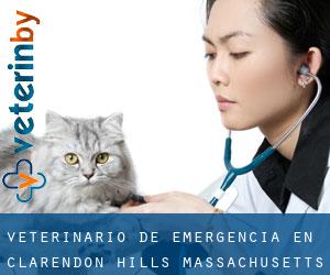 Veterinario de emergencia en Clarendon Hills (Massachusetts)