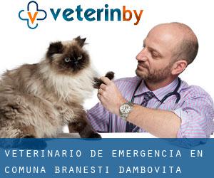 Veterinario de emergencia en Comuna Brăneşti (Dâmboviţa)