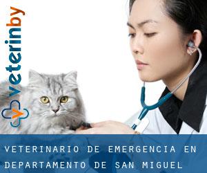 Veterinario de emergencia en Departamento de San Miguel