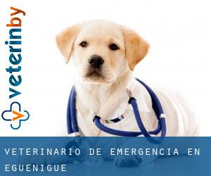 Veterinario de emergencia en Eguenigue
