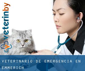 Veterinario de emergencia en Emmerich