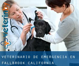 Veterinario de emergencia en Fallbrook (California)