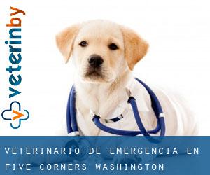 Veterinario de emergencia en Five Corners (Washington)