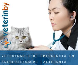 Veterinario de emergencia en Fredericksburg (California)