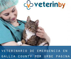 Veterinario de emergencia en Gallia County por urbe - página 1