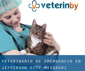 Veterinario de emergencia en Jefferson City (Missouri)