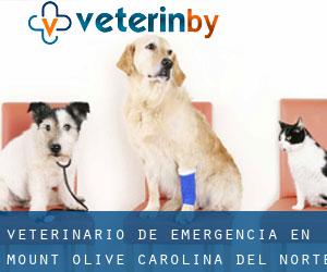 Veterinario de emergencia en Mount Olive (Carolina del Norte)