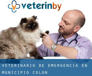 Veterinario de emergencia en Municipio Colón