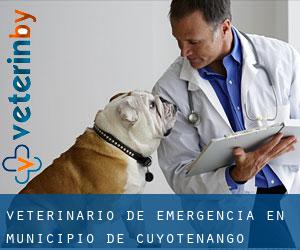 Veterinario de emergencia en Municipio de Cuyotenango