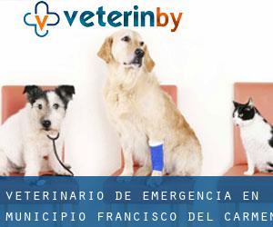 Veterinario de emergencia en Municipio Francisco del Carmen Carvajal