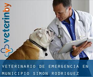 Veterinario de emergencia en Municipio Simón Rodríguez