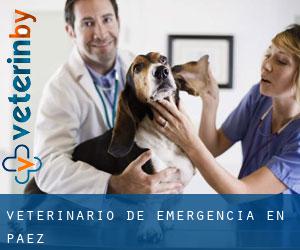Veterinario de emergencia en Páez
