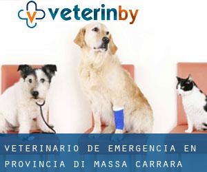 Veterinario de emergencia en Provincia di Massa-Carrara