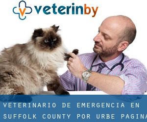 Veterinario de emergencia en Suffolk County por urbe - página 1