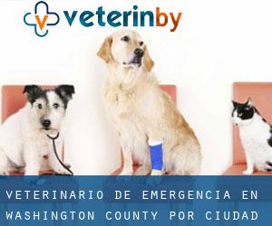 Veterinario de emergencia en Washington County por ciudad principal - página 2