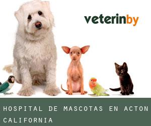 Hospital de mascotas en Acton (California)
