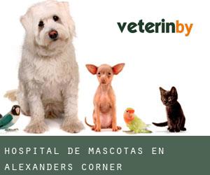 Hospital de mascotas en Alexanders Corner