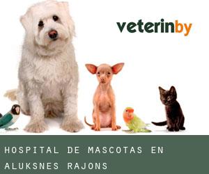 Hospital de mascotas en Alūksnes Rajons