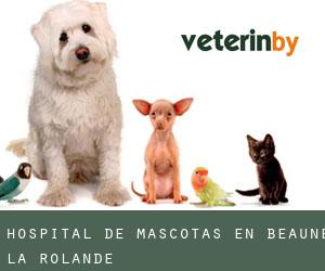 Hospital de mascotas en Beaune-la-Rolande