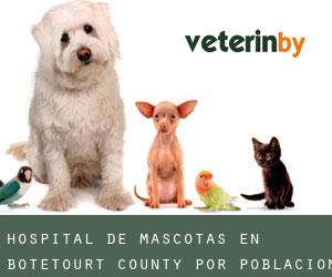 Hospital de mascotas en Botetourt County por población - página 1