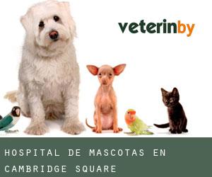 Hospital de mascotas en Cambridge Square
