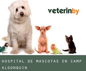 Hospital de mascotas en Camp Algonquin