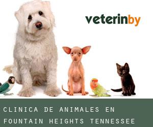 Clínica de animales en Fountain Heights (Tennessee)