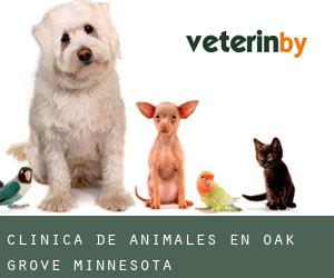 Clínica de animales en Oak Grove (Minnesota)